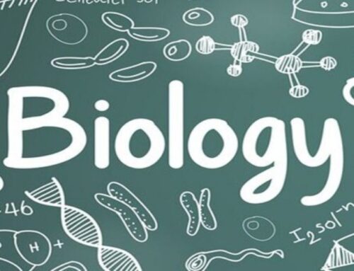 آموزشگاه کلاس گروهی زیست شناسی دوازدهم (کنکور) در کرج | بهترین آموزشگاه کنکوری کرج